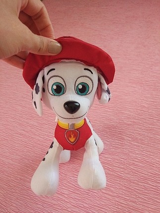 patrol Dalmaçyalı köpek