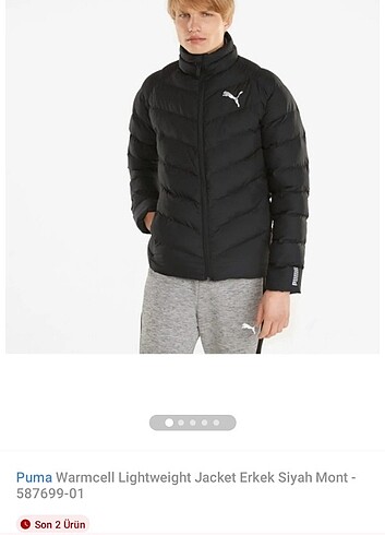 Puma erkek mont