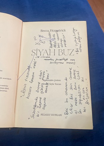 Becca Fitzpatrick - Siyah Buz Romanı - Görsel 2