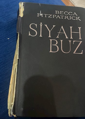 Becca Fitzpatrick - Siyah Buz Romanı - Görsel 4