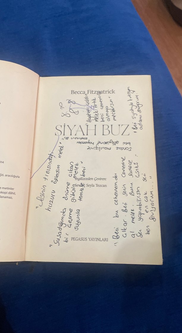 Becca Fitzpatrick - Siyah Buz Romanı - Görsel 2