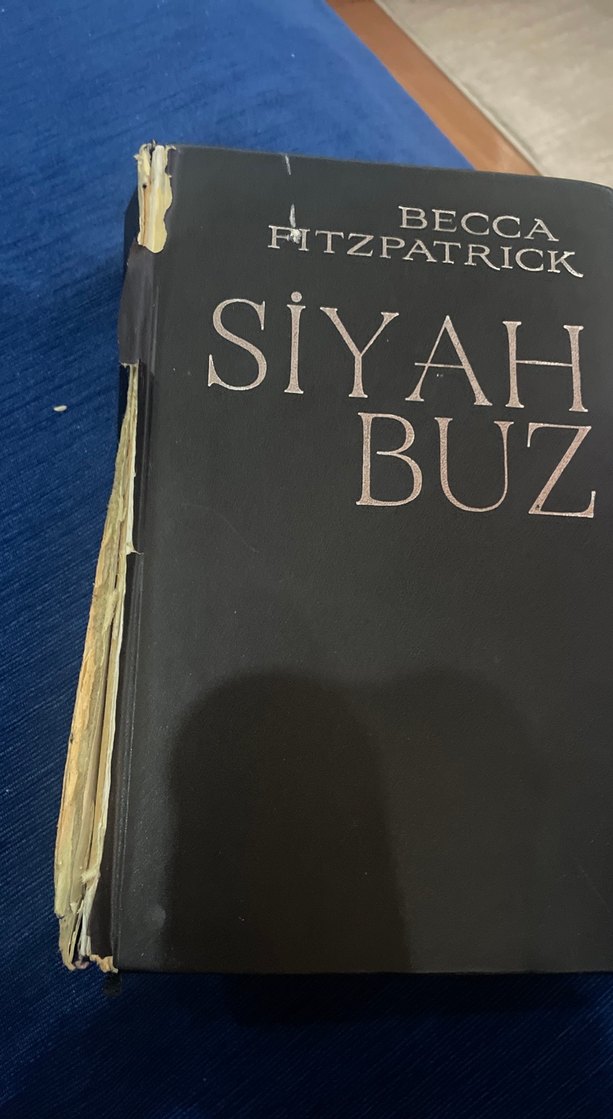 Becca Fitzpatrick - Siyah Buz Romanı - Görsel 4