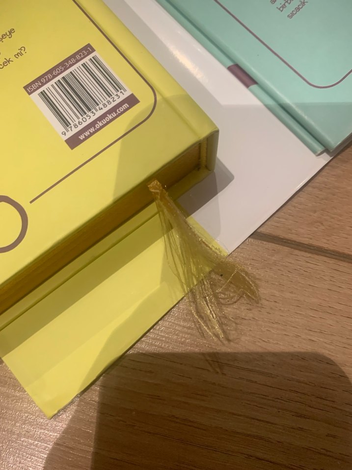 Şeftali Kokan Yaz ve Sıblar Şiir Kitapları - Görsel 4