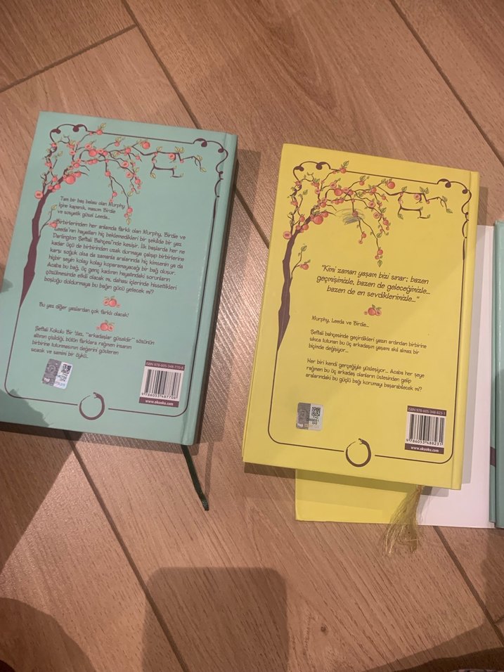 Şeftali Kokan Yaz ve Sıblar Şiir Kitapları - Görsel 3