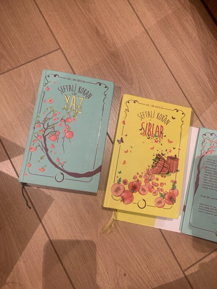Şeftali Kokan Yaz ve Sıblar Şiir Kitapları - Görsel 2