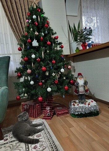 Yılbaşı ağacı - Görsel 2