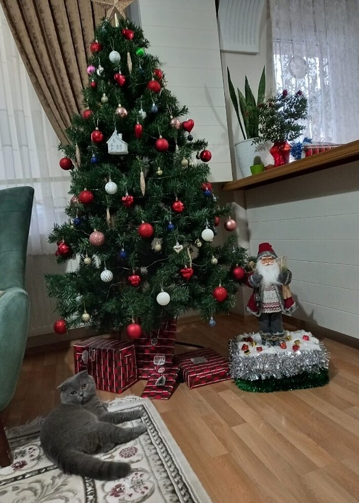 Yılbaşı ağacı - Görsel 2