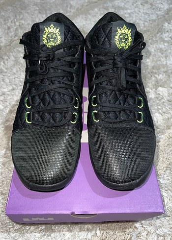 Lebron Witness VIII