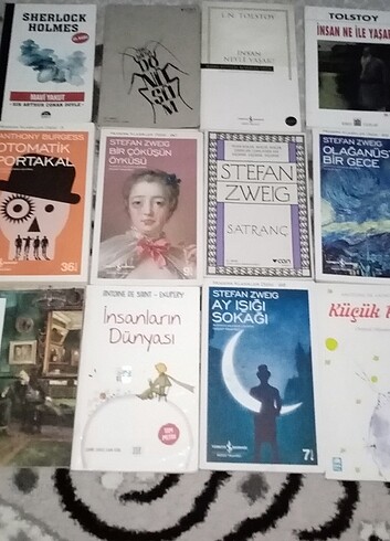 Dünya klasikleri kitap 