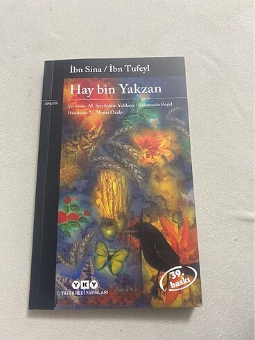 hay bin yakzan