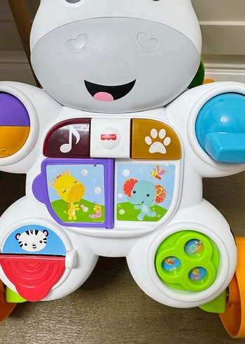 Fisher price Renkli Zebra Desenli Bebek Yürüteci - Görsel 2