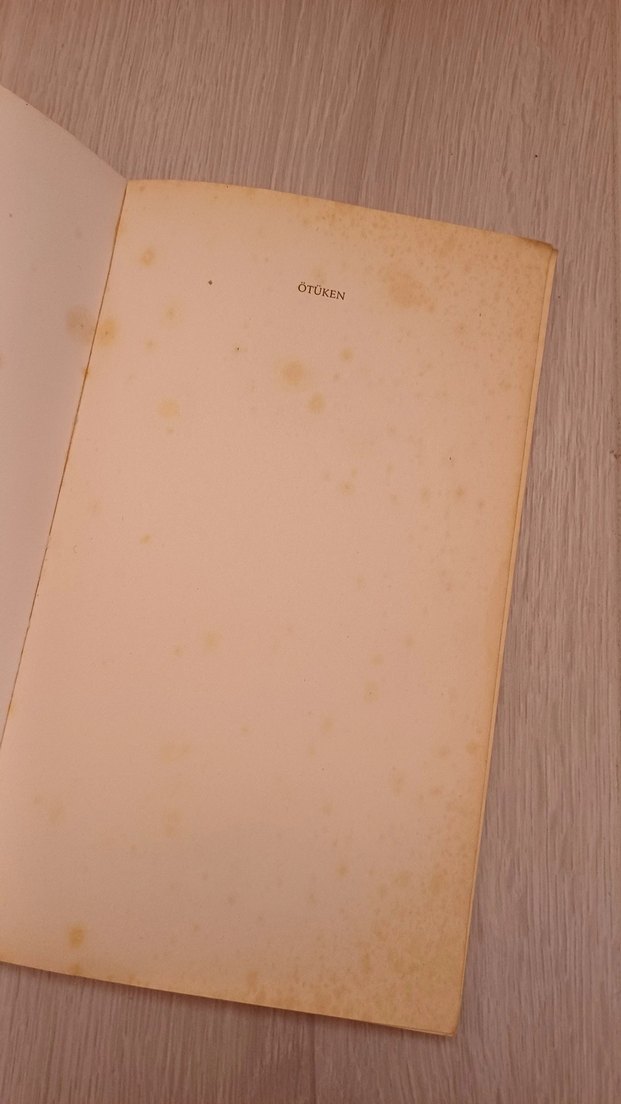 Dokuzuncu Hariciye Koğuşu - Peyami Safa - Görsel 2