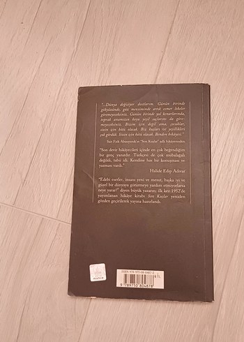 Son Kuşlar - Sait Faik Abasıyanık Romanı - Görsel 5