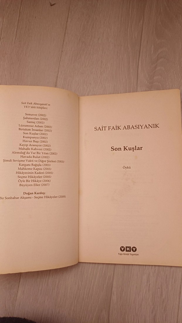Son Kuşlar - Sait Faik Abasıyanık Romanı - Görsel 2