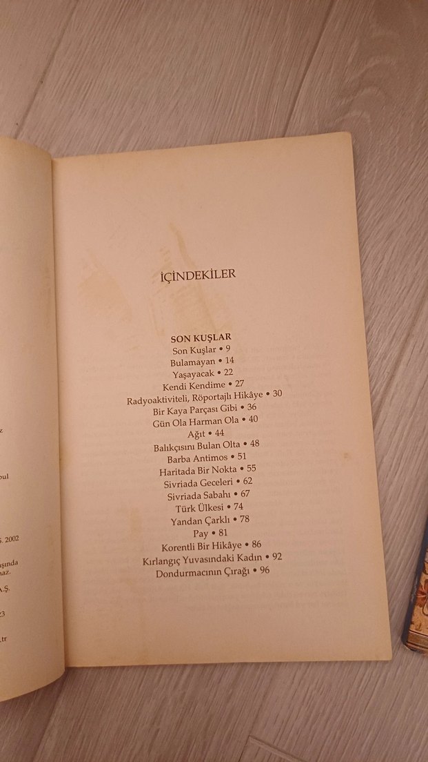 Son Kuşlar - Sait Faik Abasıyanık Romanı - Görsel 3