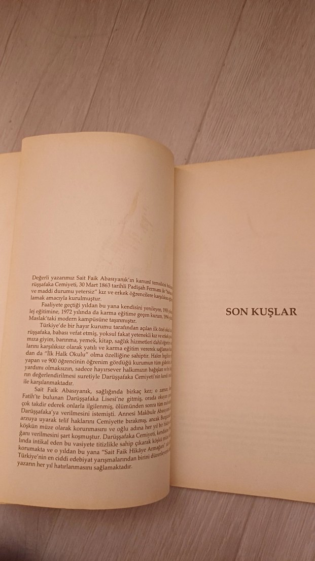 Son Kuşlar - Sait Faik Abasıyanık Romanı - Görsel 4