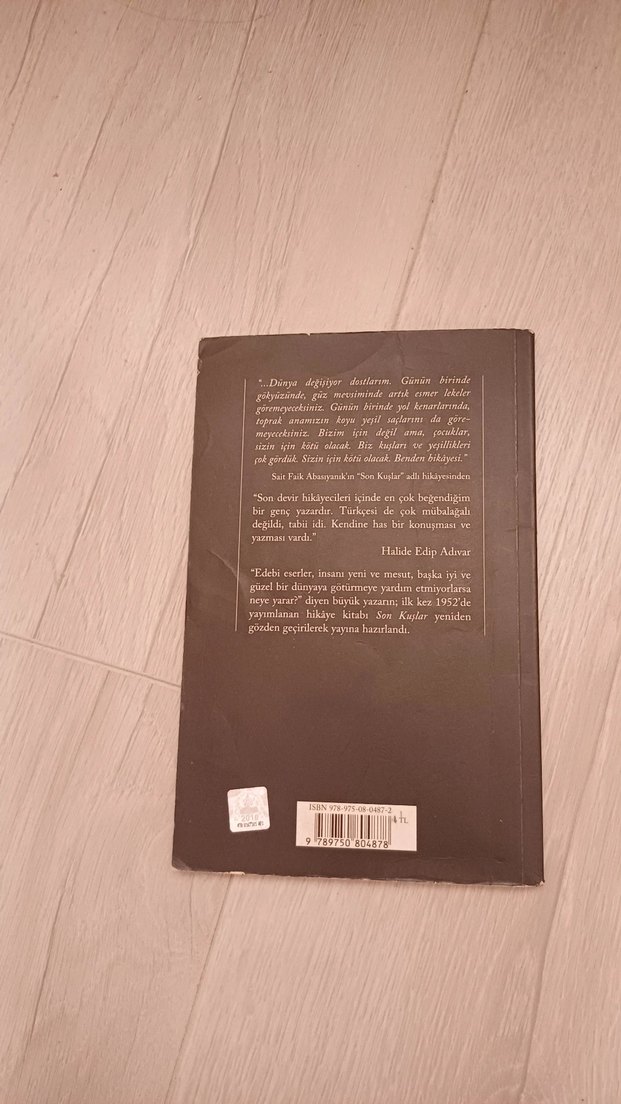 Son Kuşlar - Sait Faik Abasıyanık Romanı - Görsel 5