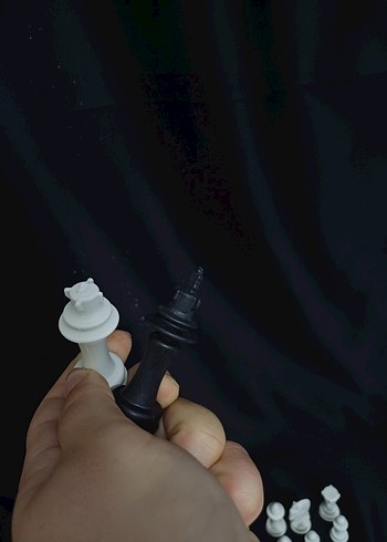 Beyaz ve Siyah Satranç taşları seti - Görsel 5