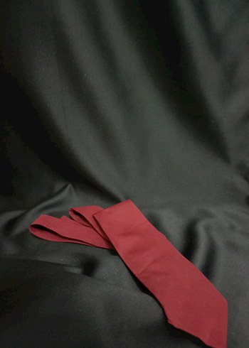 Bordo Erkek Kravat - Görsel 3