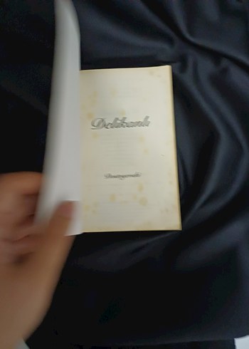 Delikanlı - Dostoyevski Romanı - Görsel 2