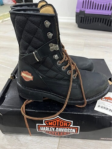 39 Beden Harley Davidson bot