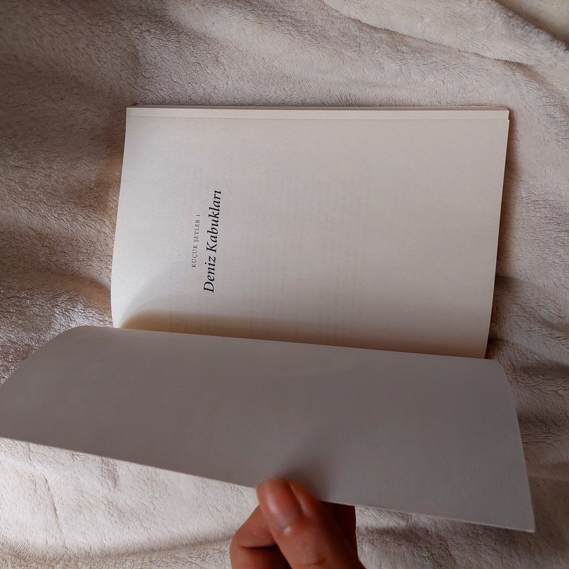 Üstün Dökmen - Deniz Kabukları Şiir Kitabı - Görsel 5