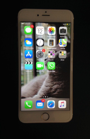 Apple Watch iphone 6 plus gold