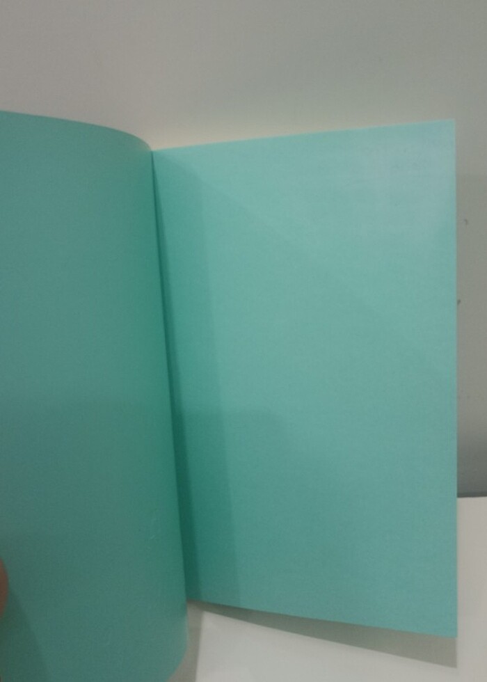 BEŞ ŞEHİR AHMET HAMDİ TANPINAR  - Görsel 4