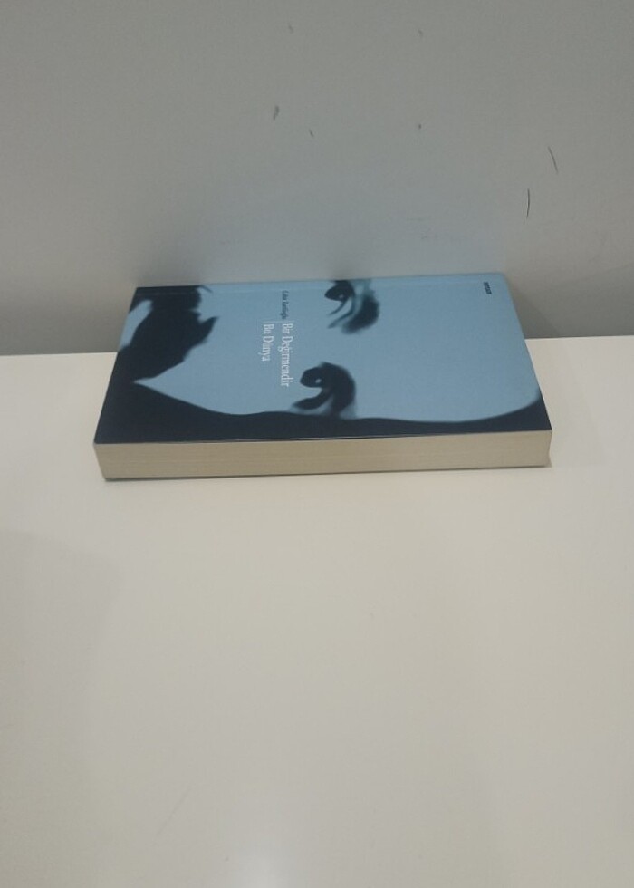 BİR DEĞİRLENDİRMEDİR BU DÜNYA, CAHİT ZARİFOĞLU  - Görsel 3