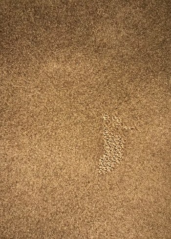 Düğmeli Kahverengi Süet Erkek Kaban - Görsel 5