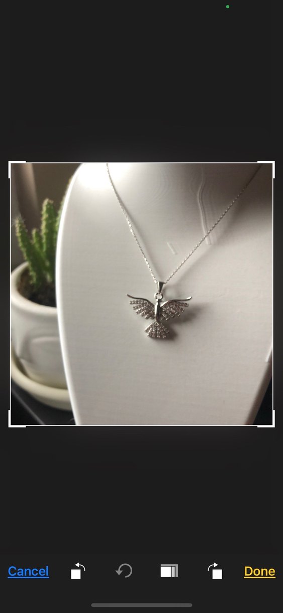 Anka kuşu taşlı kolye - Görsel 2