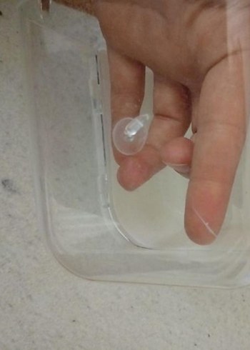 muhabbet kuş banyolugu - Görsel 4