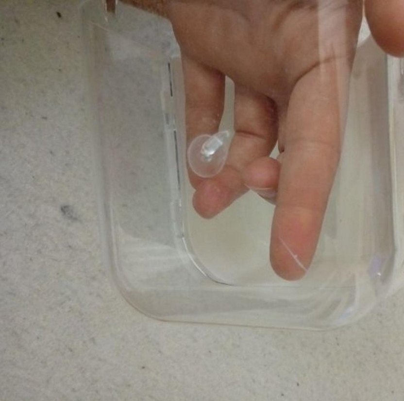 muhabbet kuş banyolugu - Görsel 4