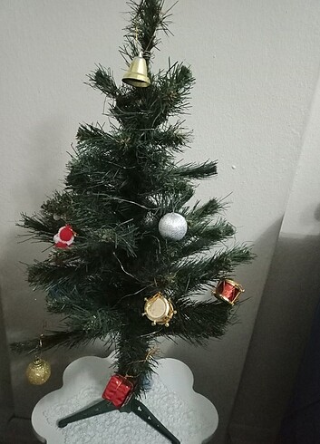Çam ağacı 60 cm