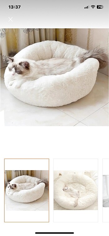  Kedi yatağı