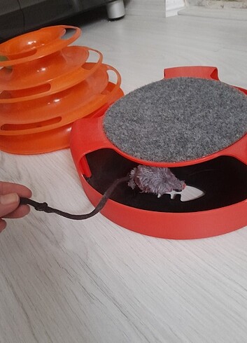 Kedi oyuncakları 