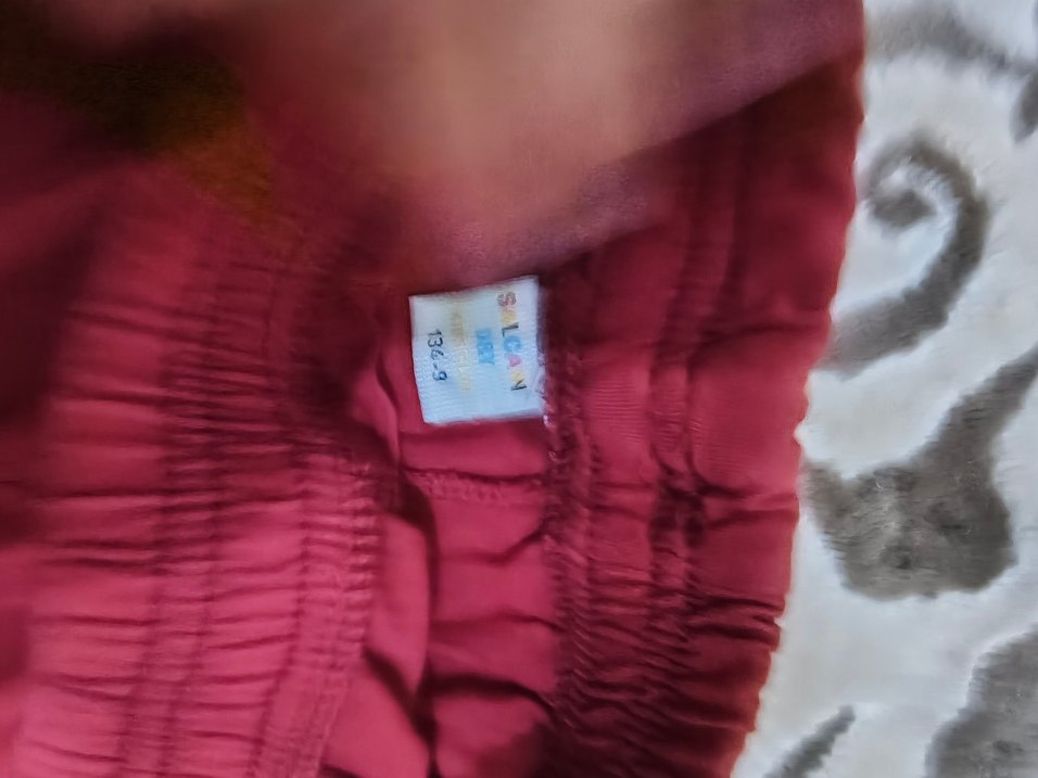 Kırmızı Erkek Şort, Elastik Bel, Baskılı - Görsel 3