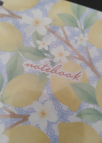 PAPERARO Sarı Pastel Renkli Limon Desenli  Defter - Görsel 5