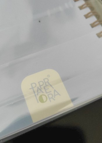 PAPERARO Sarı Pastel Renkli Limon Desenli  Defter - Görsel 3