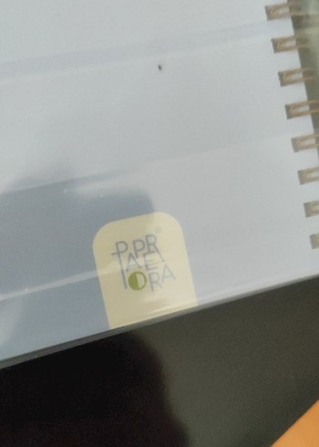 PAPERARO Sarı Pastel Renkli Limon Desenli  Defter - Görsel 6