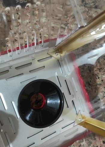 Parlak Kırmızı Popcorn Makinesi Sıfır Ürün - Görsel 15