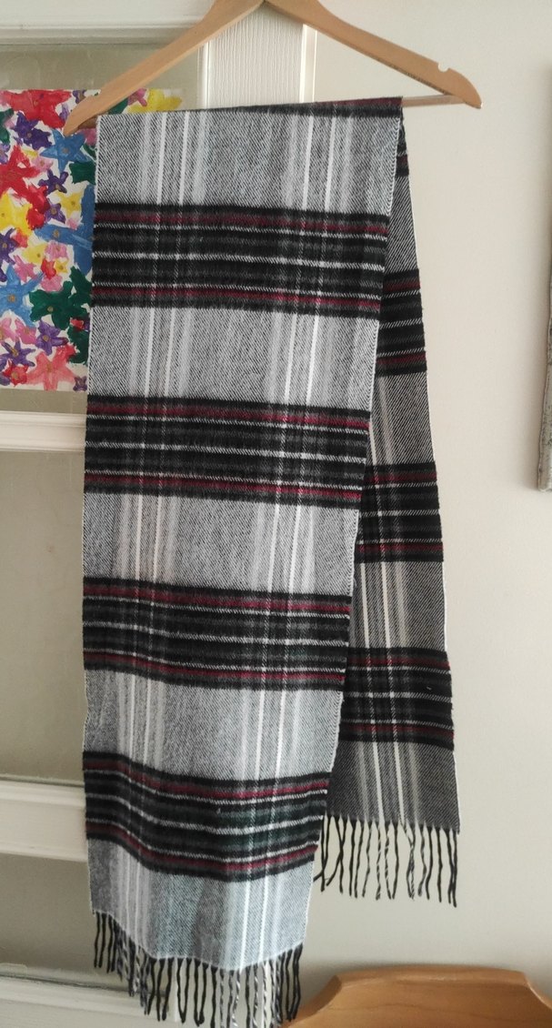 Siyah Beyaz Gri Yeşil Kırmızı Yün Erkek Kaşkol Sıfır Gibi Temiz - Görsel 2