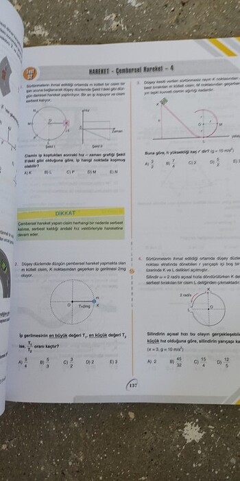  Beden Bilgi sarmal ayt fizik