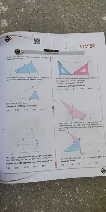  Beden Palme geometri 