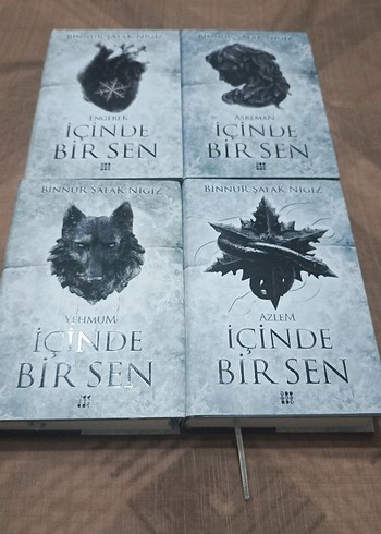 İçinde Bir Sen Serisi - Binnur Şahak Nigiz