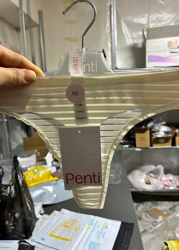 Bej Transparan Detaylı PENTİ Kadın Külot - Görsel 2