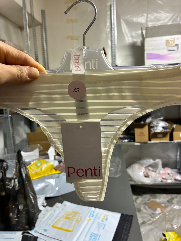 Bej Transparan Detaylı PENTİ Kadın Külot - Görsel 2