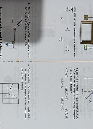  Beden Bilgi Sarmal Ayt Fizik Soru Bankası