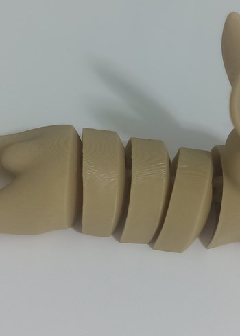 Bej hareketli tavşan - Görsel 2