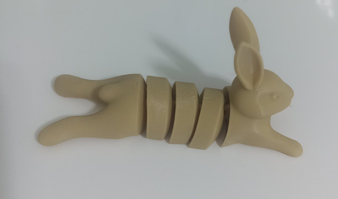 Bej hareketli tavşan - Görsel 2